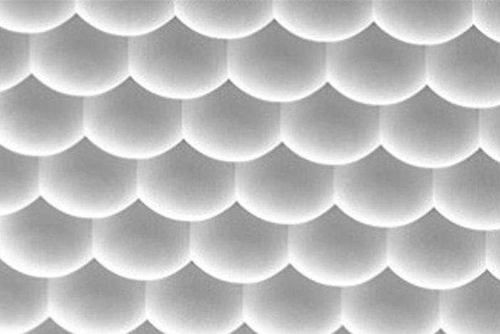 REM image of a microlens array (gapless)